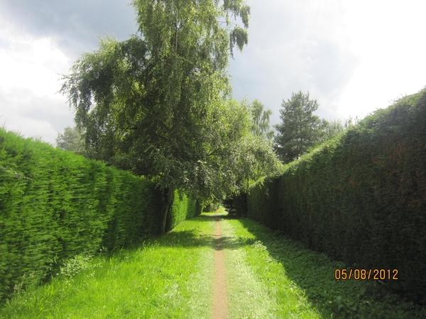 Zandhoven enz 5-8-2012 076