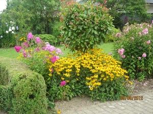 Zandhoven enz 5-8-2012 090