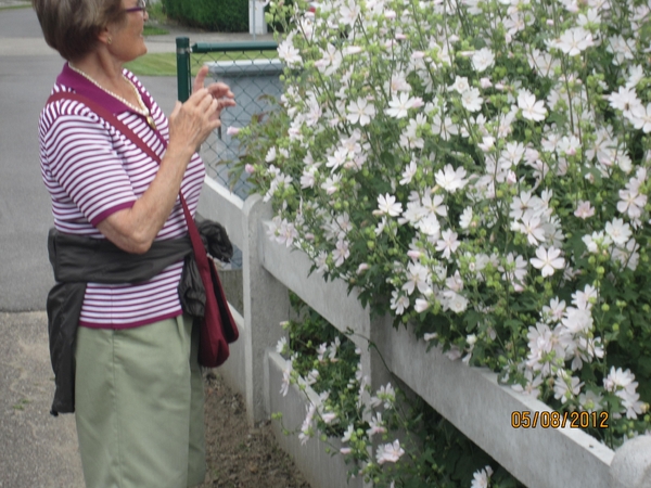 Zandhoven enz 5-8-2012 092