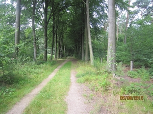 Zandhoven enz 5-8-2012 117