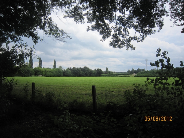 Zandhoven enz 5-8-2012 121