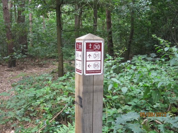 Zandhoven enz 5-8-2012 133