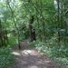 wandeling stropersbos010