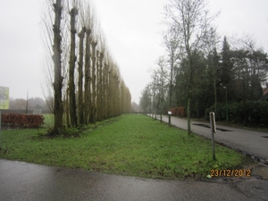 23-12-2012 Schilde met Bosgeuzen 011