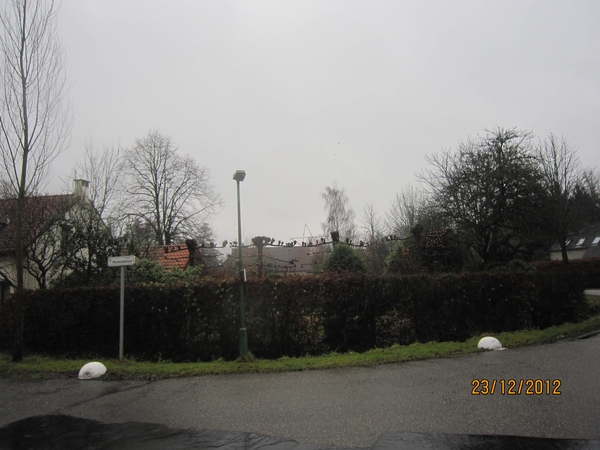 23-12-2012 Schilde met Bosgeuzen 012