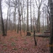 23-12-2012 Schilde met Bosgeuzen 024