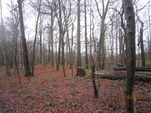 23-12-2012 Schilde met Bosgeuzen 024