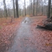 23-12-2012 Schilde met Bosgeuzen 027