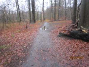 23-12-2012 Schilde met Bosgeuzen 027