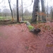 23-12-2012 Schilde met Bosgeuzen 029