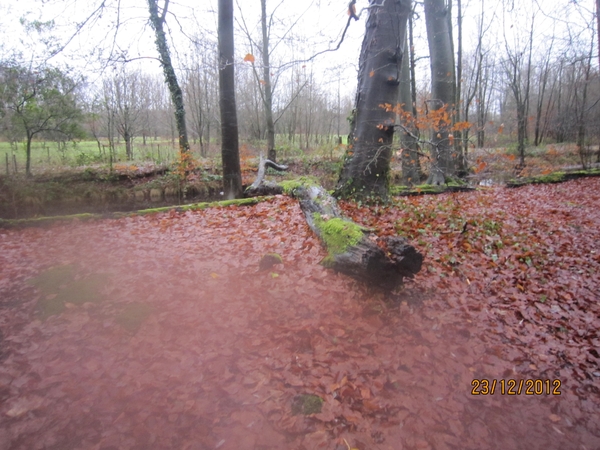 23-12-2012 Schilde met Bosgeuzen 029