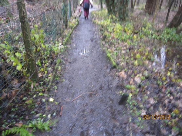 23-12-2012 Schilde met Bosgeuzen 031