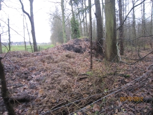 23-12-2012 Schilde met Bosgeuzen 032