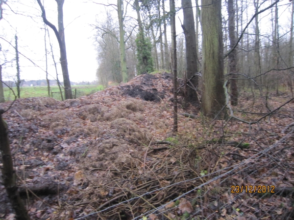 23-12-2012 Schilde met Bosgeuzen 032