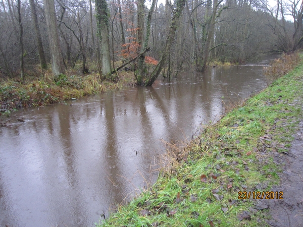 23-12-2012 Schilde met Bosgeuzen 036