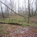 23-12-2012 Schilde met Bosgeuzen 043