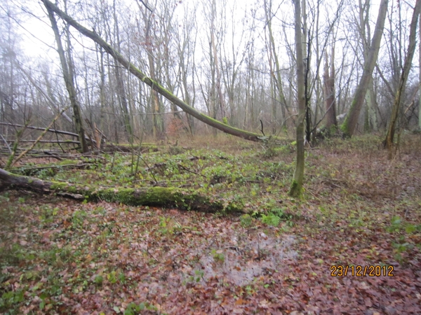 23-12-2012 Schilde met Bosgeuzen 043