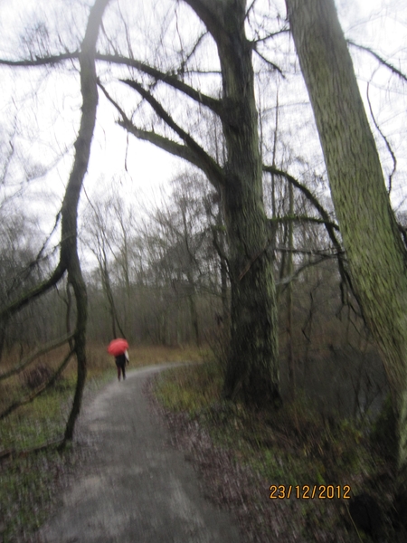 23-12-2012 Schilde met Bosgeuzen 046