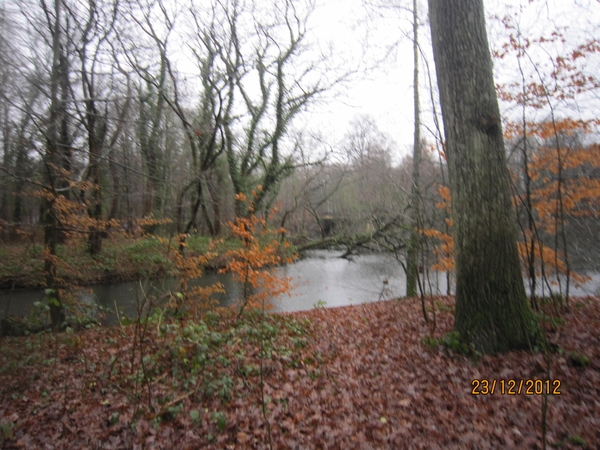 23-12-2012 Schilde met Bosgeuzen 047