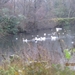 23-12-2012 Schilde met Bosgeuzen 050