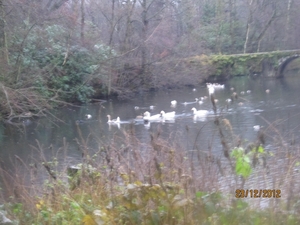 23-12-2012 Schilde met Bosgeuzen 050