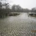 23-12-2012 Schilde met Bosgeuzen 055