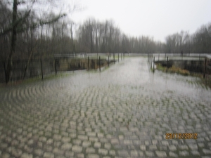 23-12-2012 Schilde met Bosgeuzen 055