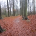 23-12-2012 Schilde met Bosgeuzen 063