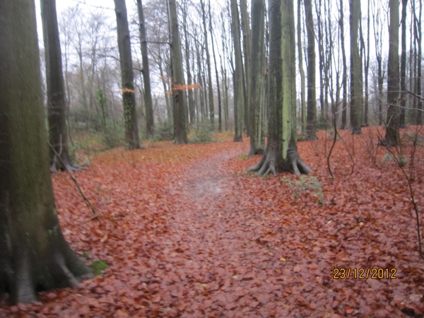 23-12-2012 Schilde met Bosgeuzen 063