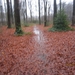 23-12-2012 Schilde met Bosgeuzen 064