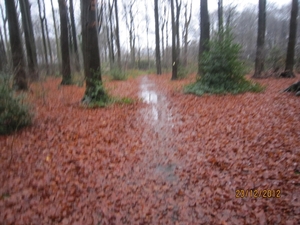 23-12-2012 Schilde met Bosgeuzen 064