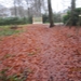 23-12-2012 Schilde met Bosgeuzen 066