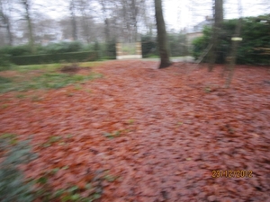 23-12-2012 Schilde met Bosgeuzen 066