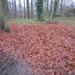 23-12-2012 Schilde met Bosgeuzen 067