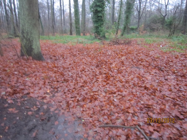 23-12-2012 Schilde met Bosgeuzen 067