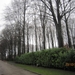 23-12-2012 Schilde met Bosgeuzen 068