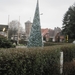 23-12-2012 Schilde met Bosgeuzen 080