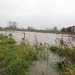 2012-12-23 Wichelen 008