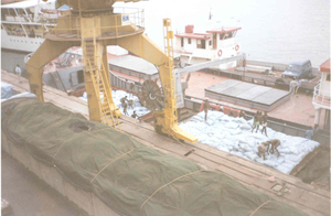 rechtstreekse overslag in Kigoma