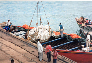 er werden veel lokale boten - dhows - geladen - tot 30 ton