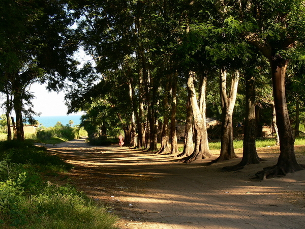 de beruchte slavenroute van UJIJI in Kigoma tot Dar es Salaam