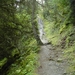 Wandeling naar de Aigenalm en de Paulhutte