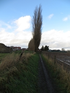 2012-12-25 Opwijk 004