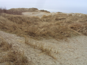 MIDDELKERKE 009