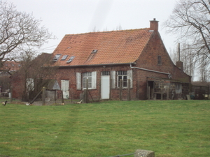 WESTROZEBEKR 012