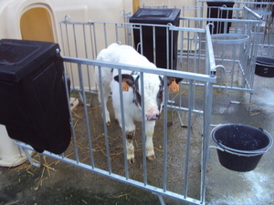 Torhout 002