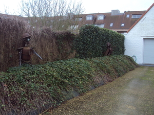 Torhout 007