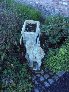 st ELOOISWINKEL 007