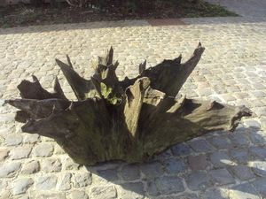 NATIONNALE WANDELDAG 024