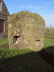 RENINGELST 004